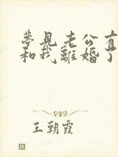 梦见老公有外遇和我离婚了