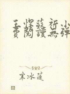 王悍苏祈小说免费阅读无弹窗封面