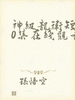 神级龙卫短剧90集在线观看高清