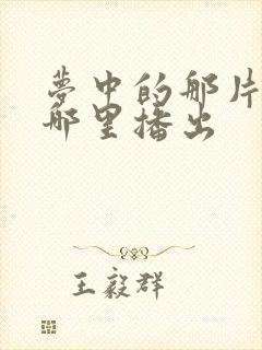 梦中的那片海在哪里播出