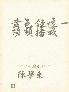 黄色录像一级片视频播放