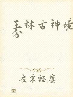 王林古神境界划分