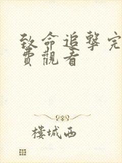 致命追击完整免费观看