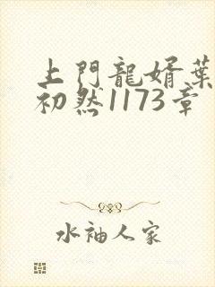 上门龙婿叶辰萧初然1173章封面