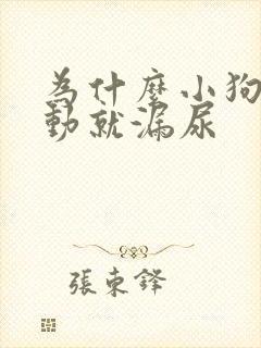 为什么小狗一激动就漏尿