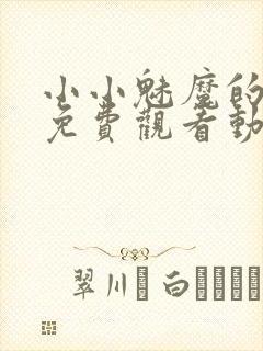 小小魅魔的仆人免费观看动漫版全集