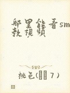 哪里能看sm调教视频