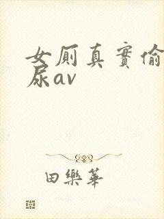 女厕真实偷拍撒尿av