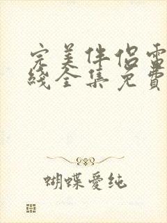 完美伴侣电影在线全集免费观看