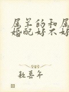 属羊的和属兔的婚配好不好