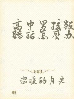 高中男孩叛逆不听话怎么办