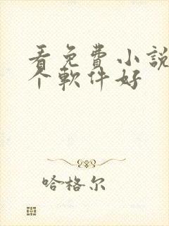 看免费小说用哪个软件好封面