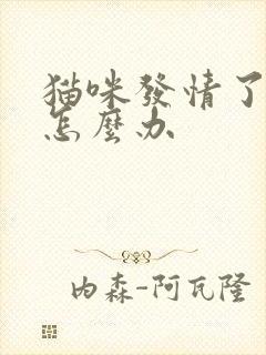 猫咪发情了乱尿怎么办