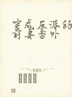 穿成反派的炮灰前妻番外封面