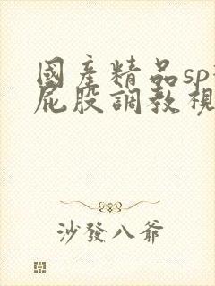 国产精品sp打屁股调教视频