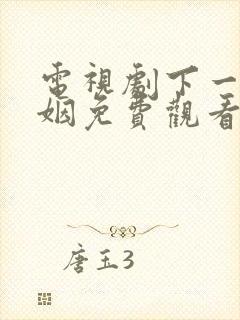 电视剧下一站婚姻免费观看全集高清