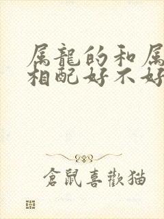 属龙的和属虎的相配好不好