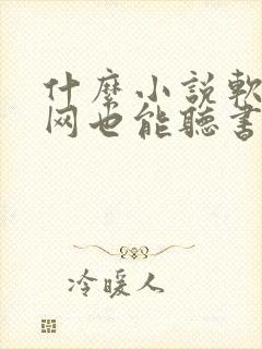 什么小说软件没网也能听书