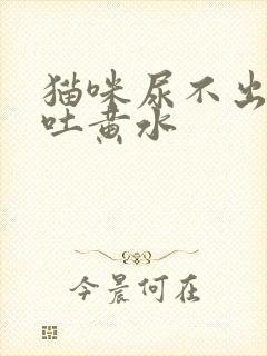 猫咪尿不出来还吐黄水