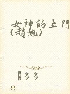 女神的上门贵婿(赵旭)