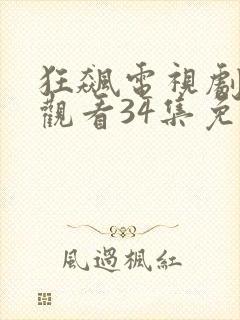 狂飙电视剧在线观看34集免费封面