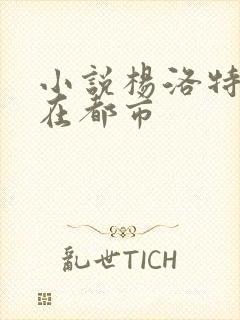 小说杨洛特种兵在都市封面