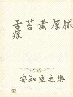 舌苔黄厚腻有齿痕