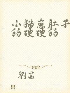 小猫崽肚子鼓鼓的硬硬的