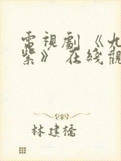 电视剧 《九重紫》 在线观看封面