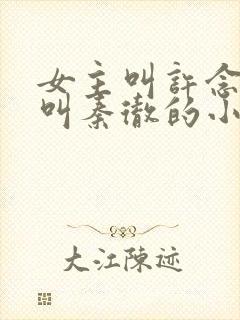 女主叫许念男主叫秦彻的小说