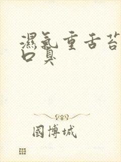 湿气重舌苔黄腻口臭