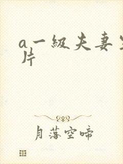 a一级夫妻生活片