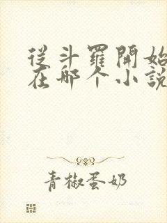 从斗罗开始打卡在哪个小说软件里面看