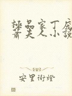 极品家丁庞管家萧夫人小说在线阅读