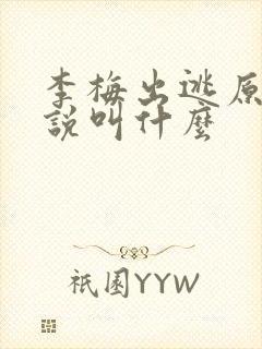 李梅出逃原著小说叫什么