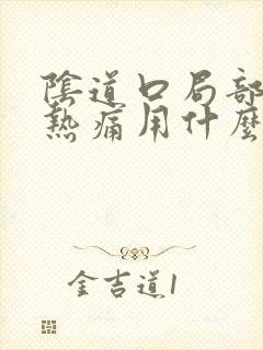 阴道口局部红肿热痛用什么药