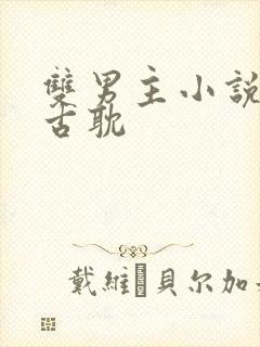 双男主小说推荐古耽