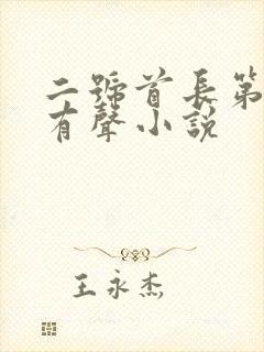二号首长第四部有声小说
