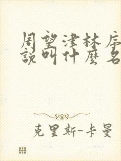 周望津林序秋小说叫什么名字