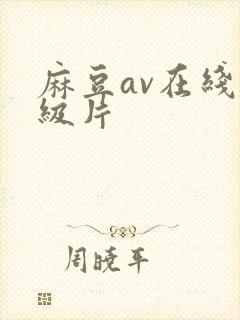 麻豆av在线一级片