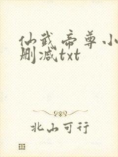 仙武帝尊小说无删减txt