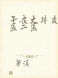 午夜大片爽爽一区二区