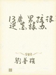 13岁男孩很叛逆怎样办