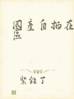 国产自拍在线二区