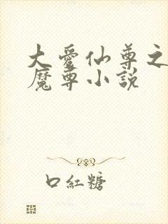 大爱仙尊之邪淫魔尊小说