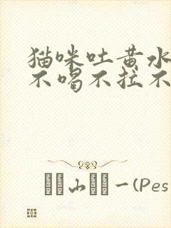 猫咪吐黄水不吃不喝不拉不尿的封面