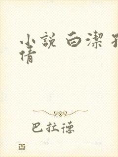 小说 白洁 孙倩封面