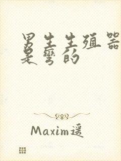 男生生殖器勃起是弯的