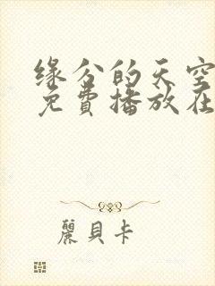 缘分的天空全集免费播放在线观看