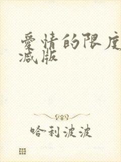 爱情的限度无删减版